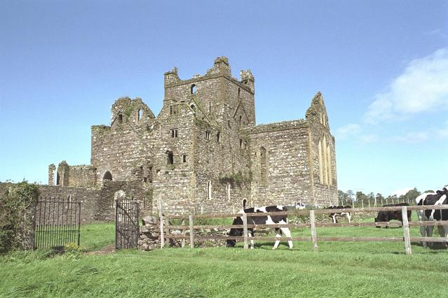 Dunbrody Abbey